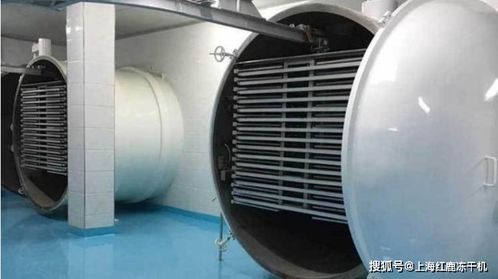 凍干粥生產(chǎn)設(shè)備及工藝流程解析與光伏設(shè)備元器件銷售市場概覽